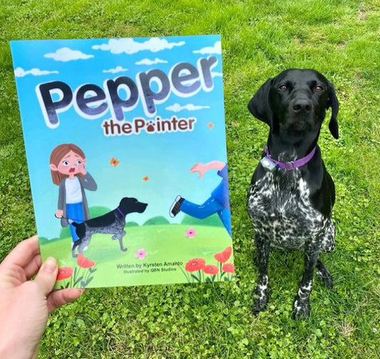 Children's Book Starter Package: Custom Book Illustration (7), Formatting, ISBNs Included! KDP, Ingram Spark, FREE Consultation