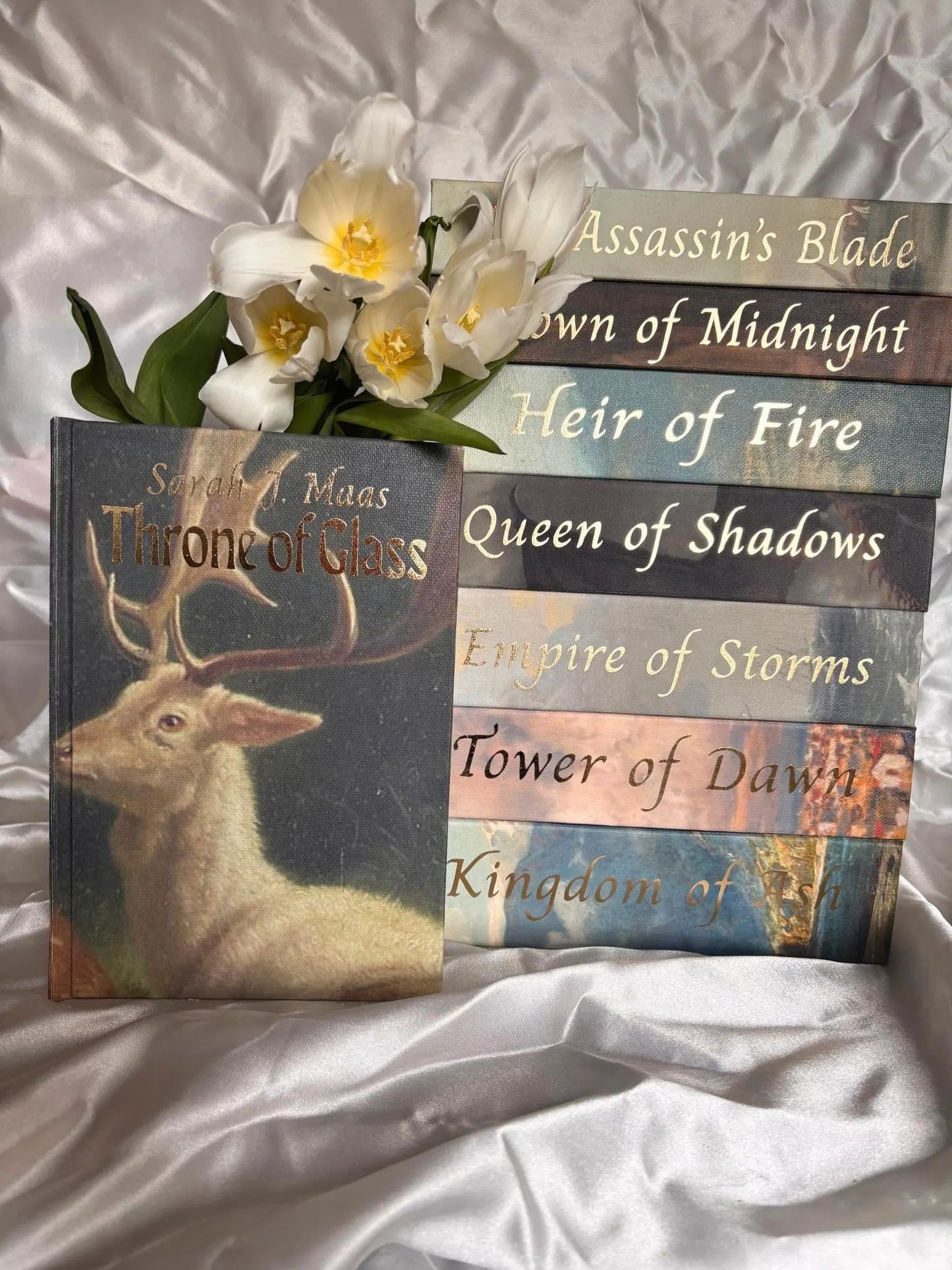 Throne of Glass full Series Rebind by Sarah J Maas