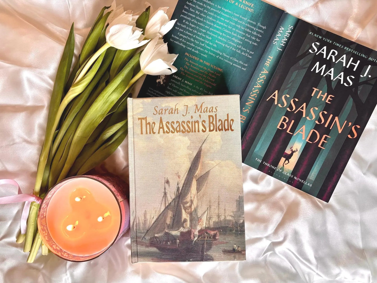 Throne of Glass full Series Rebind by Sarah J Maas