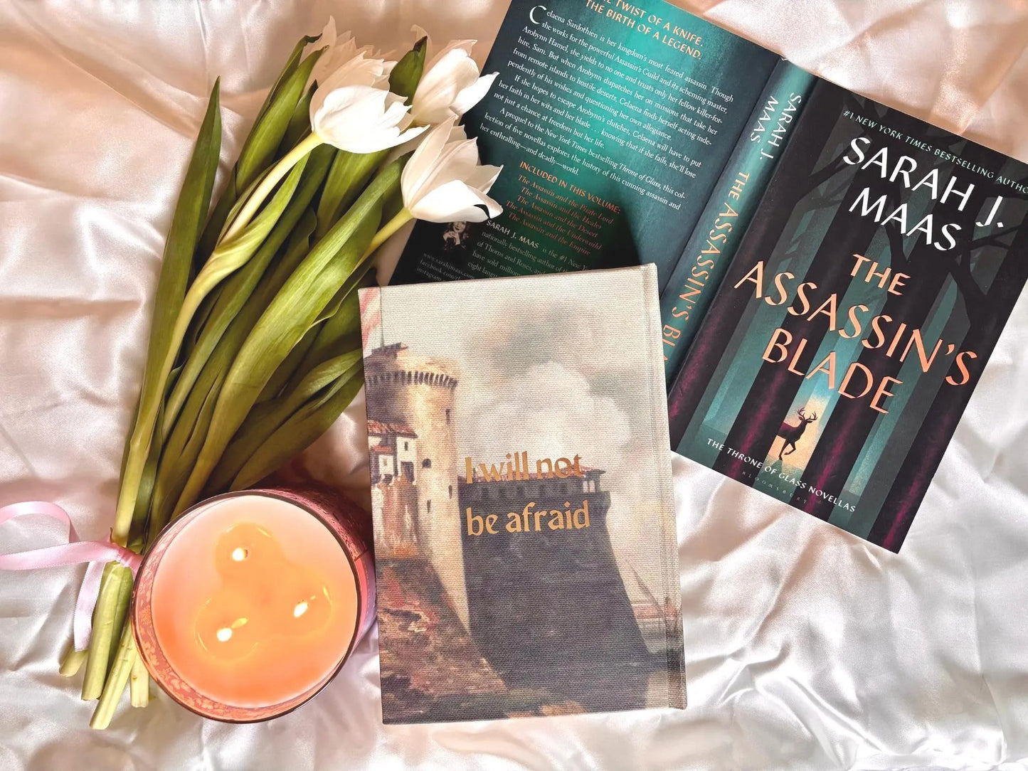 Throne of Glass full Series Rebind by Sarah J Maas
