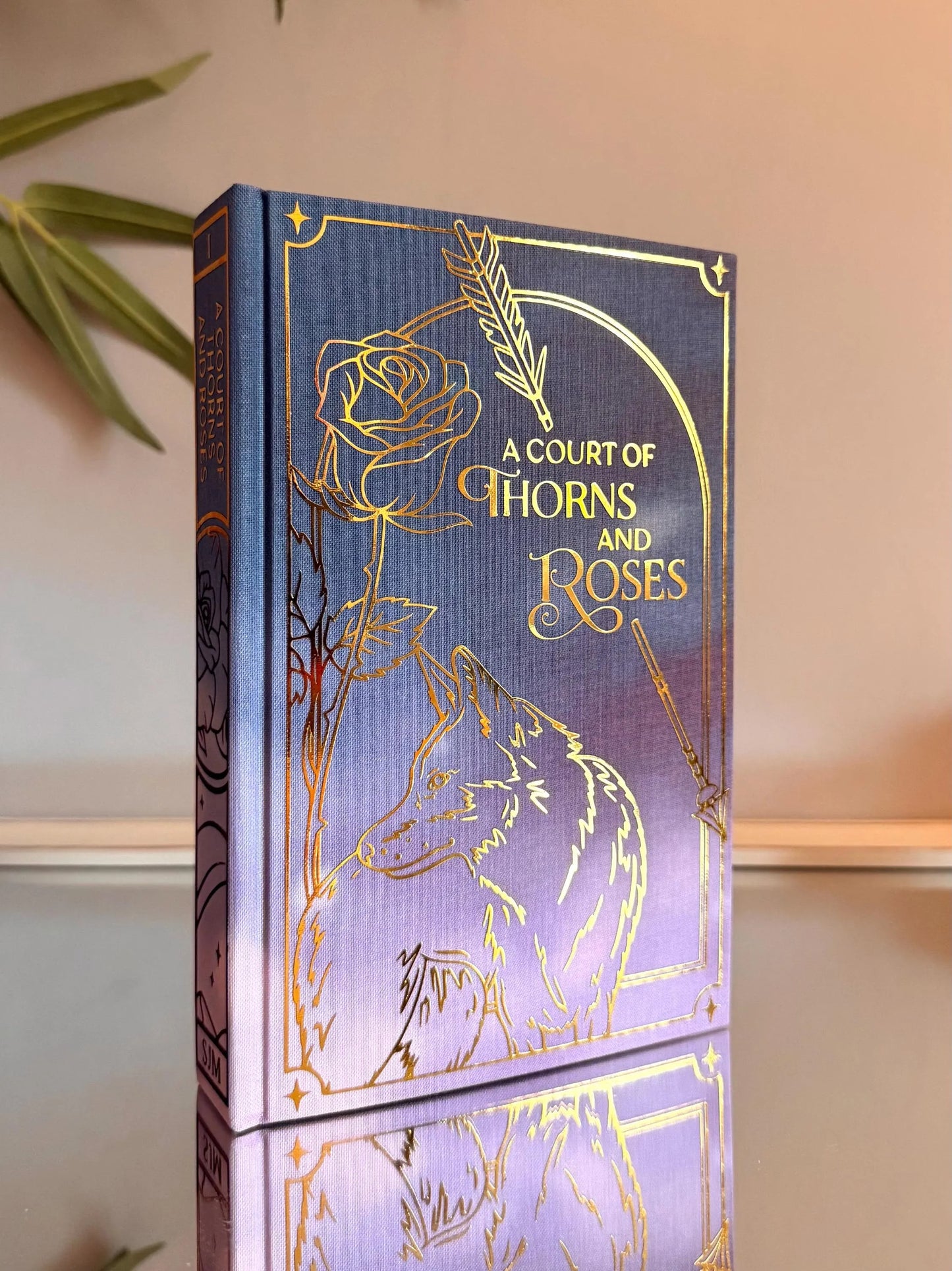 ACOTAR Full Series Handmade Hardback Rebinds by Sarah J. Maas