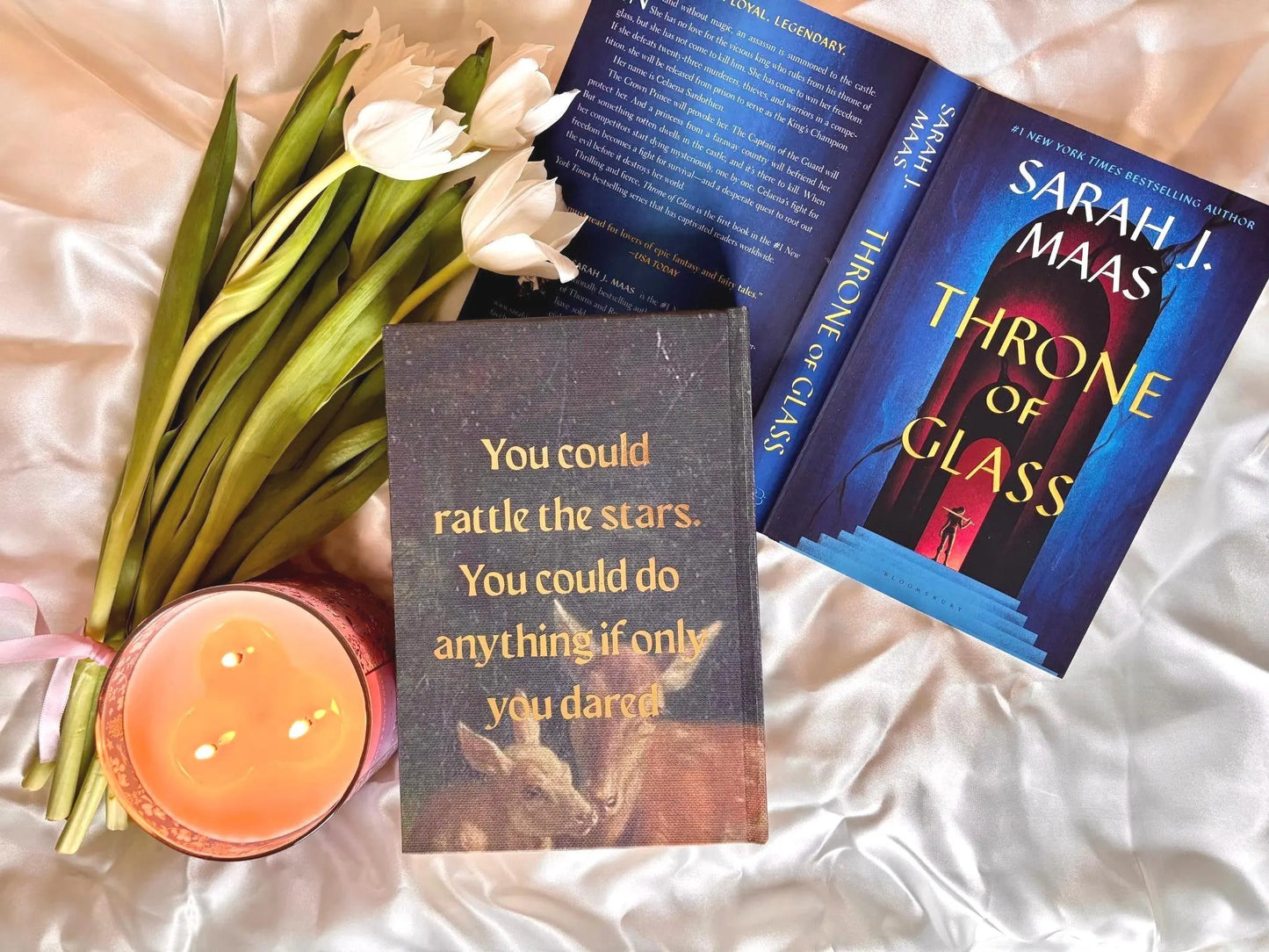 Throne of Glass full Series Rebind by Sarah J Maas