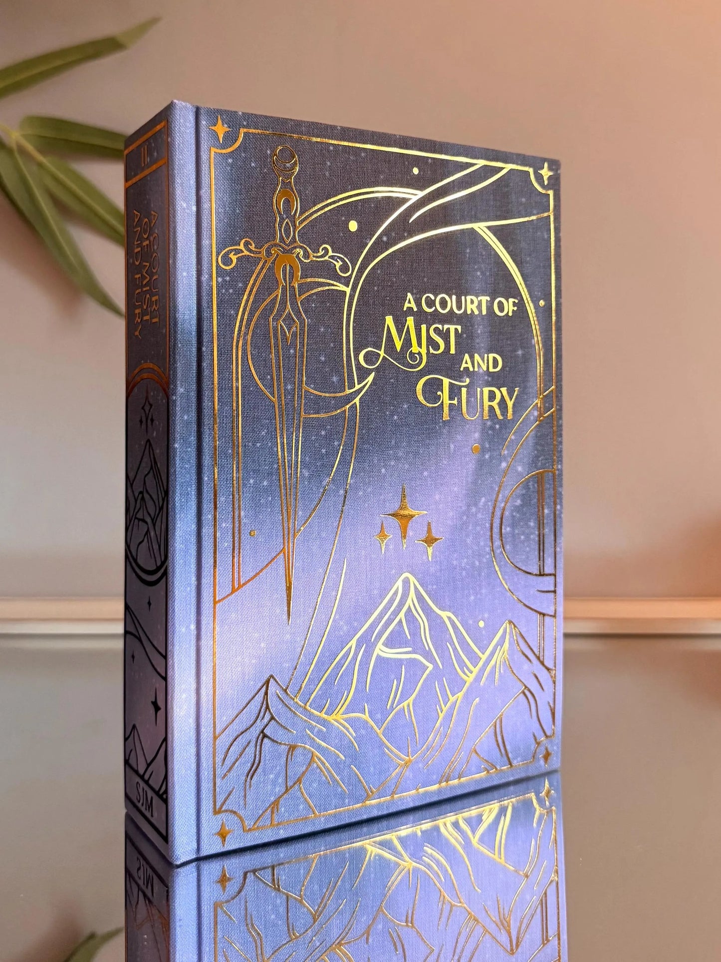 ACOTAR Full Series Handmade Hardback Rebinds by Sarah J. Maas