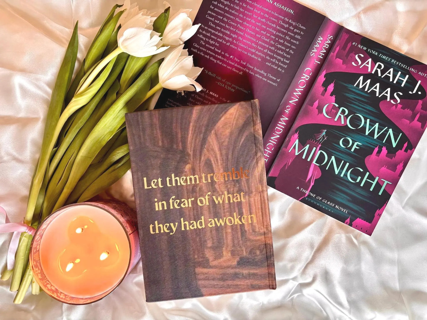 Throne of Glass full Series Rebind by Sarah J Maas