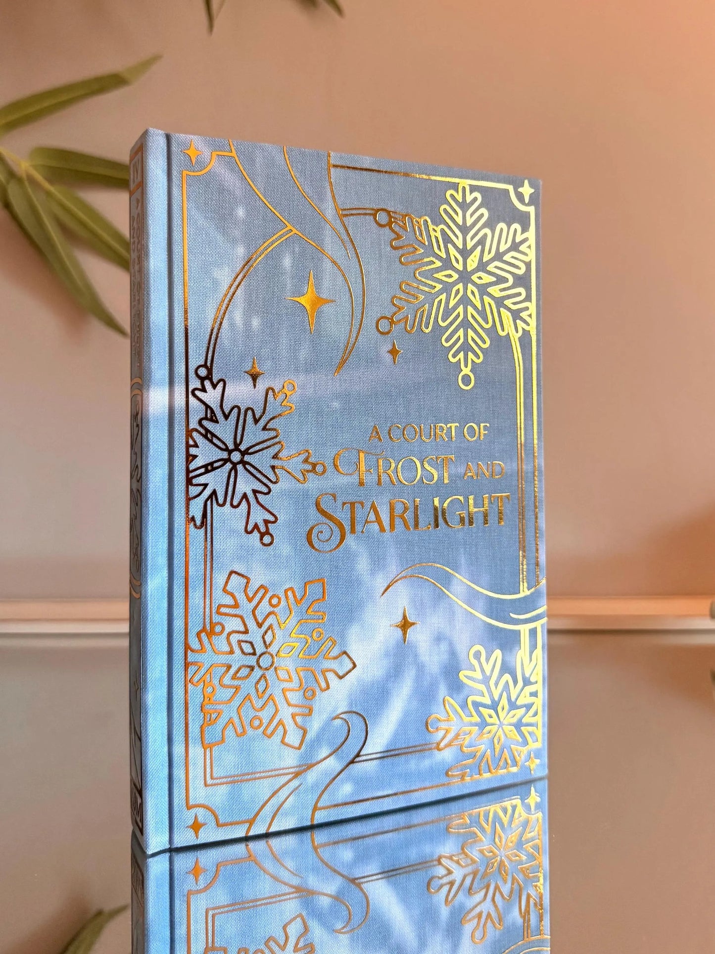 ACOTAR Full Series Handmade Hardback Rebinds by Sarah J. Maas