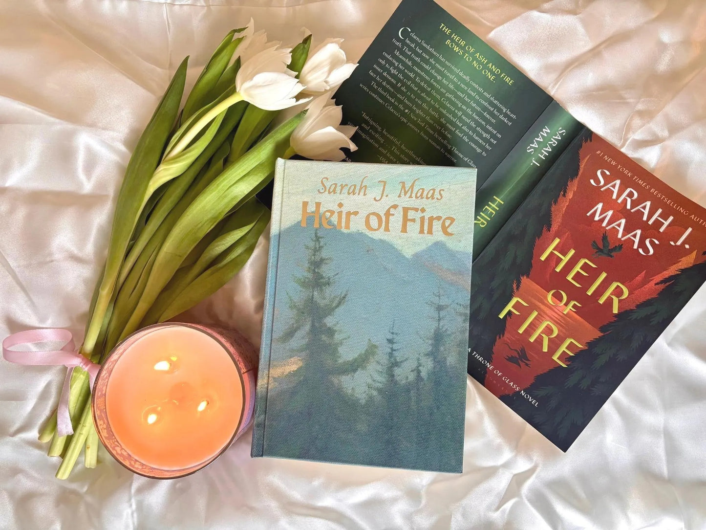 Throne of Glass full Series Rebind by Sarah J Maas