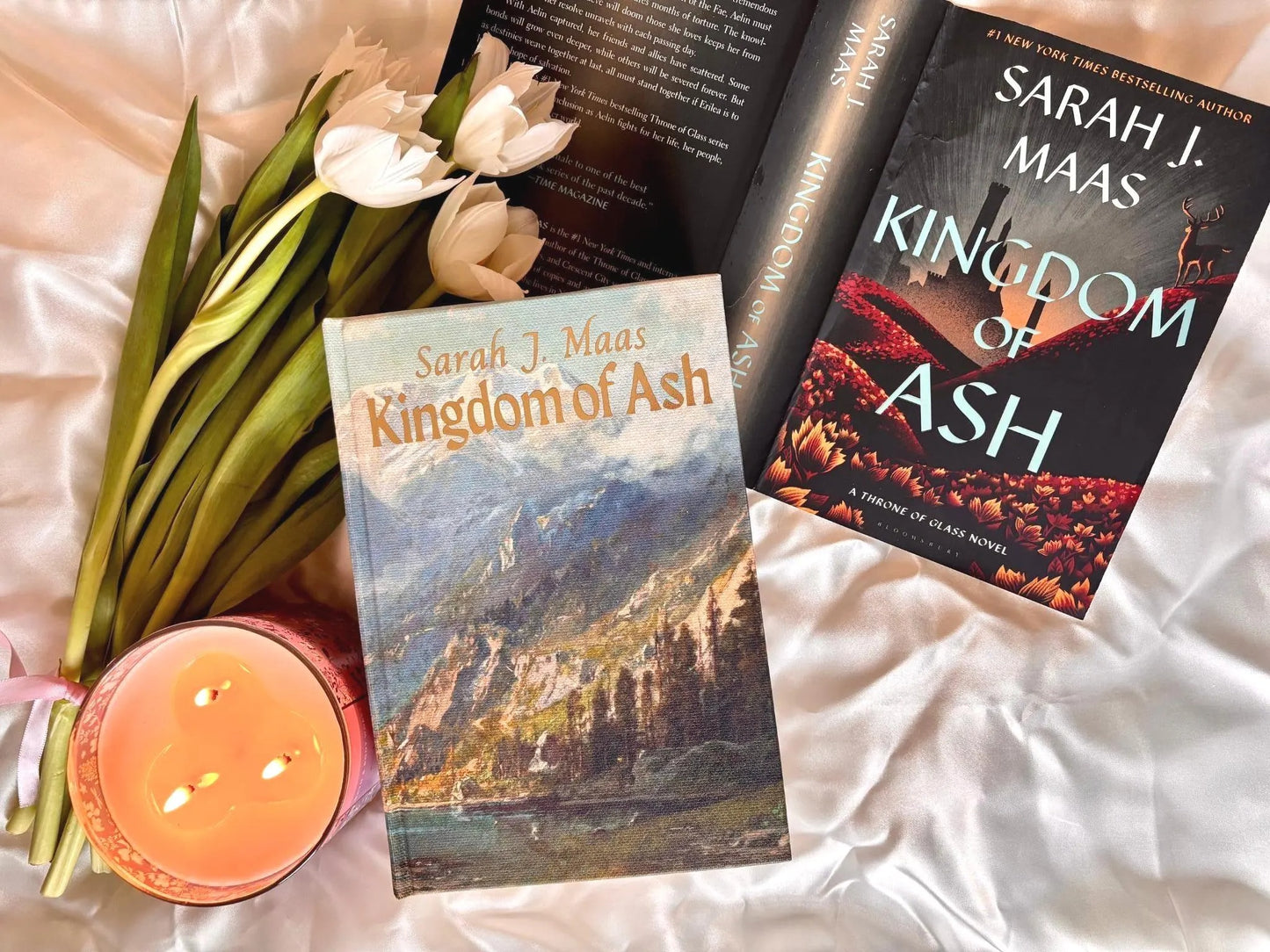 Throne of Glass full Series Rebind by Sarah J Maas