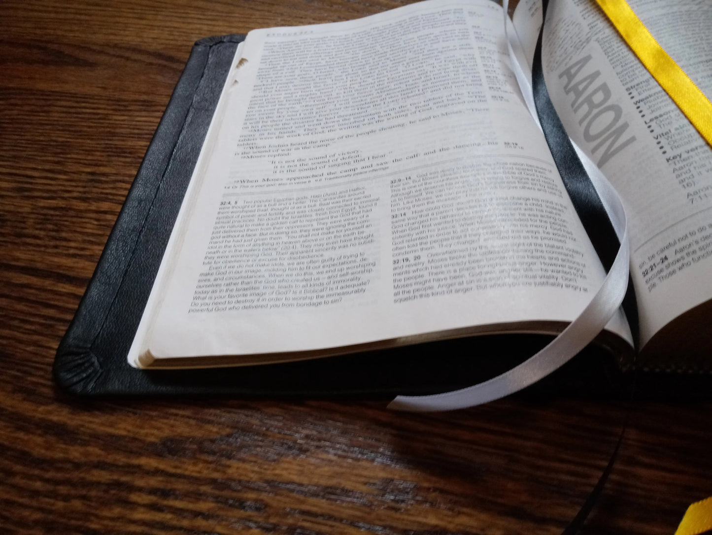 Custom Goat or Cow and Lamb- You Pick The Exact New Bible Translation Of Your Choice (King James, NKJV, NASB, NIV, Etc)