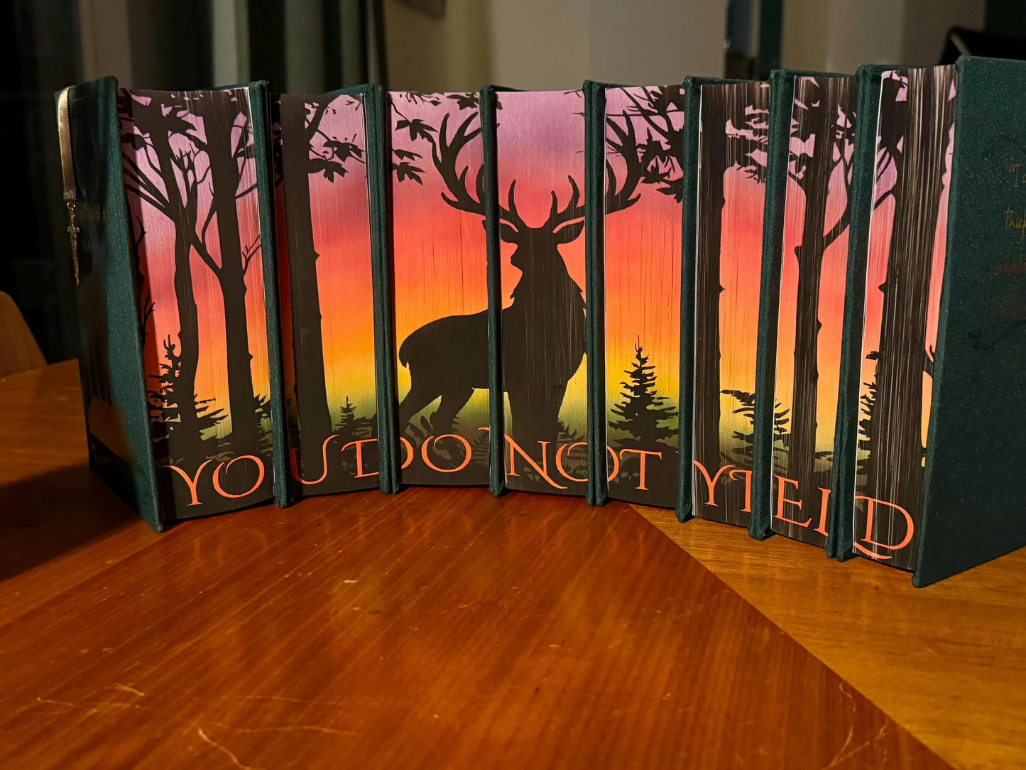 Throne of Glass Full Series Rebound with custom hardcovers and sprayed edges